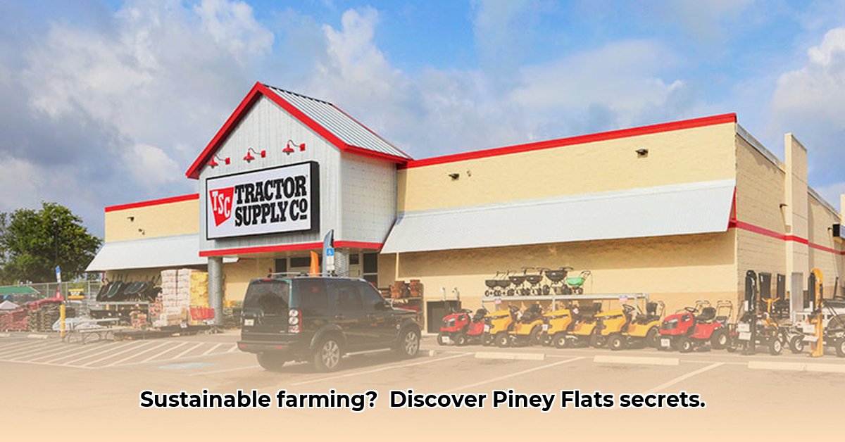 tractor-supply-piney-flats